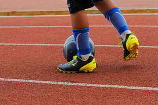 ayx爱游戏官网-足球产业链：从青训到转播的全产业生态，足球产业主要经营内容