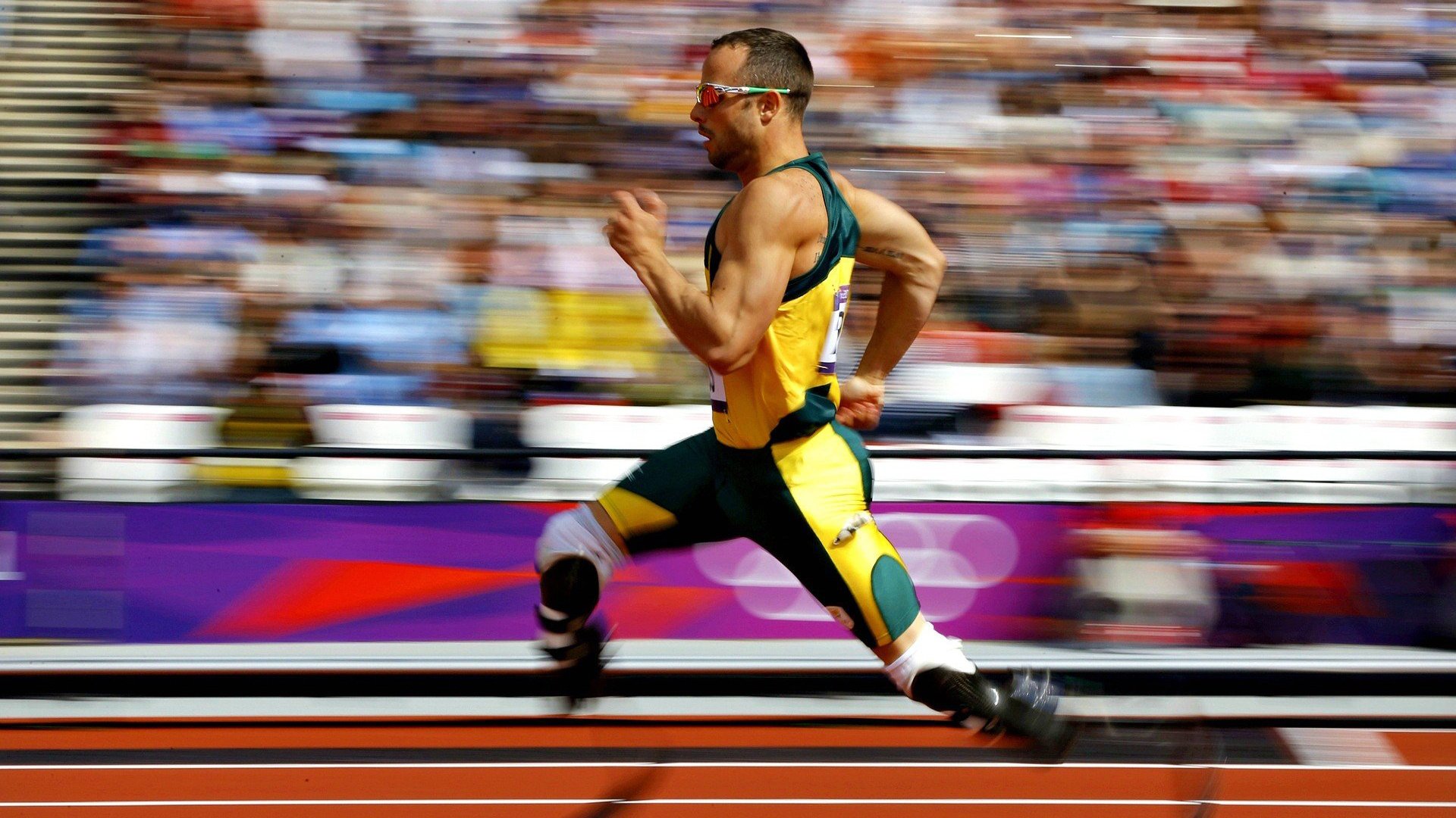 体育纪录片内容更加丰富，体育纪录片主题