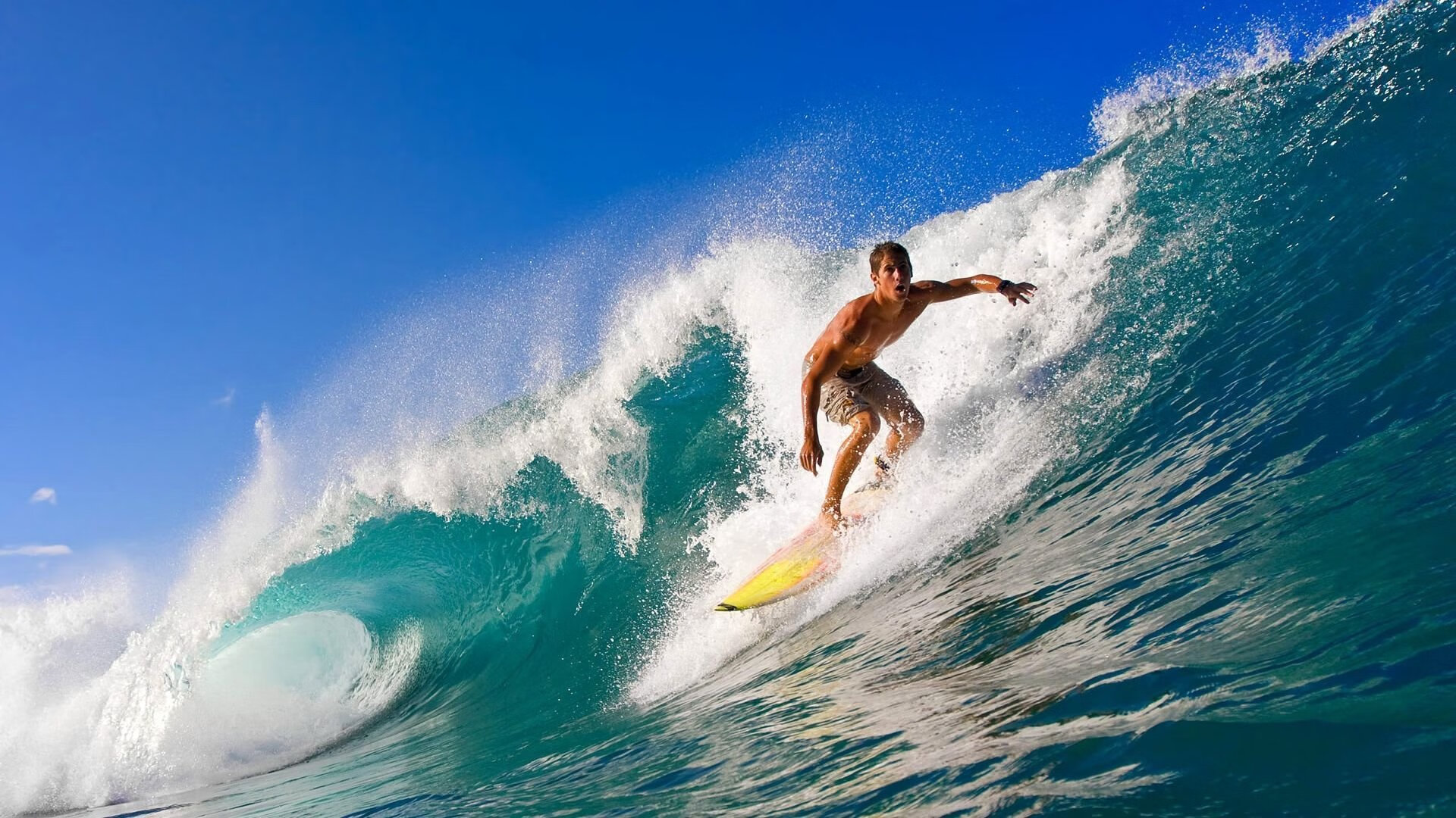 职业联赛受众年轻化进程是否停滞，2021年职业联赛